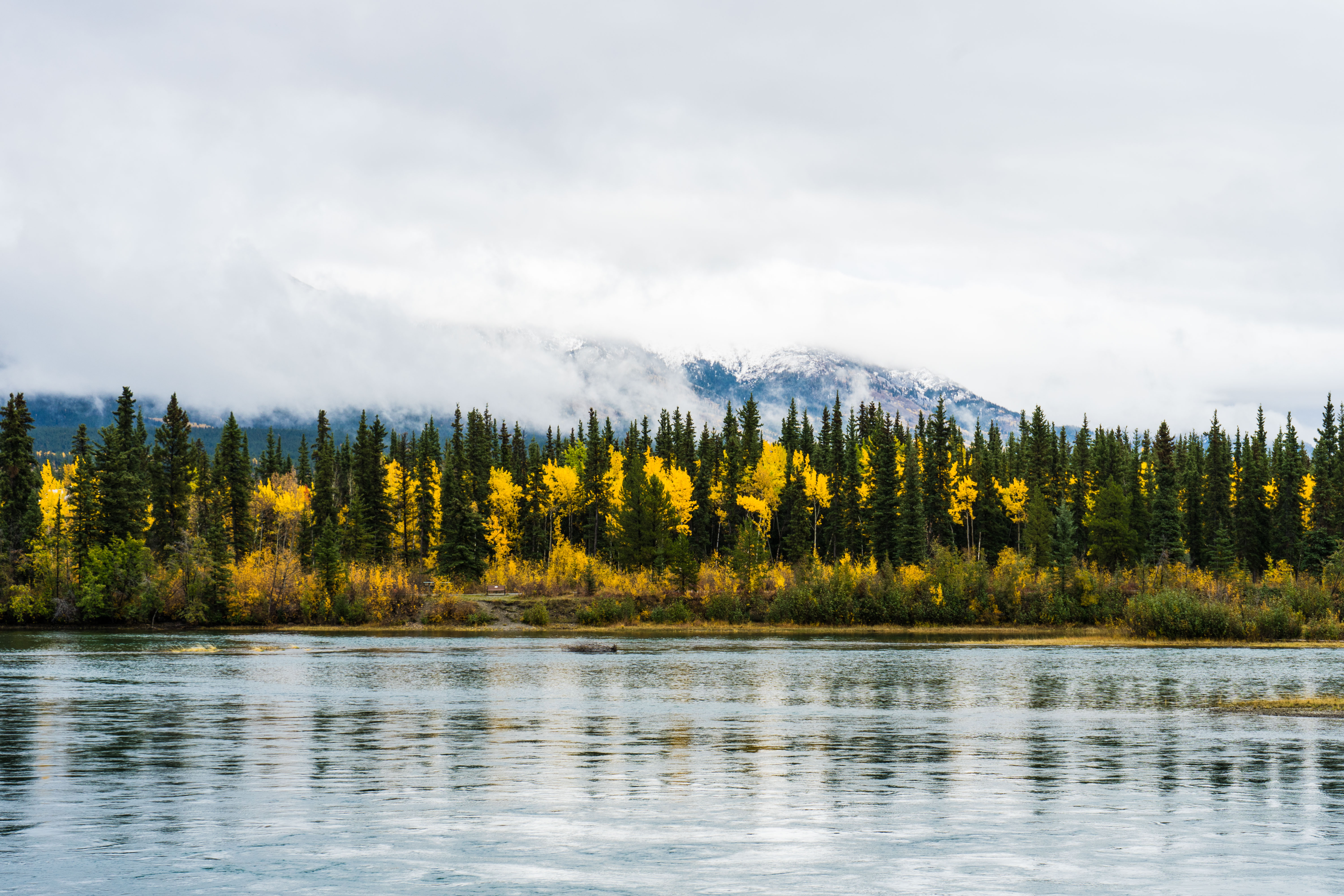 yukon river in the fall 
